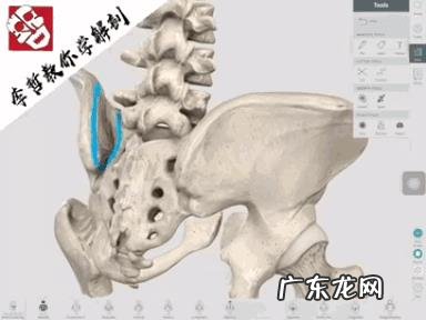 产后骨盆修复很重要,怎样修复骨盆,怎样瘦身?