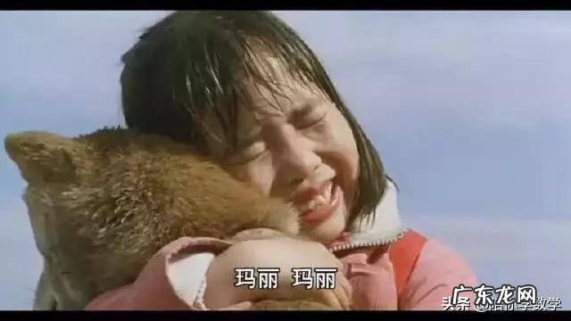 对孩子最好的教育,从哪些方面入手?