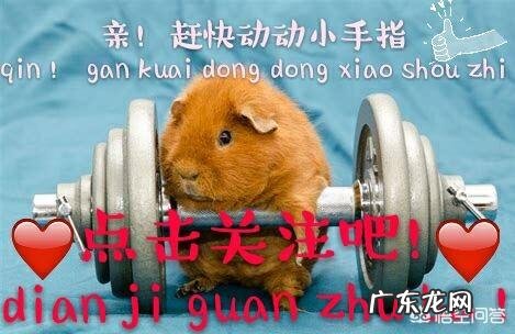 如何快速练出腹肌胸肌?