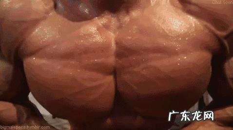 如何快速练出腹肌胸肌?