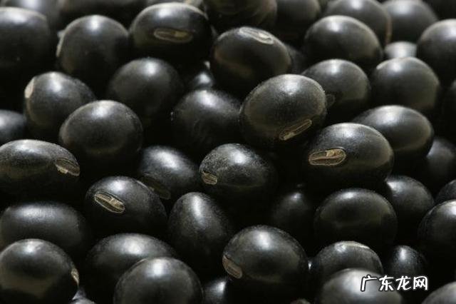 黑豆天天吃好吗?