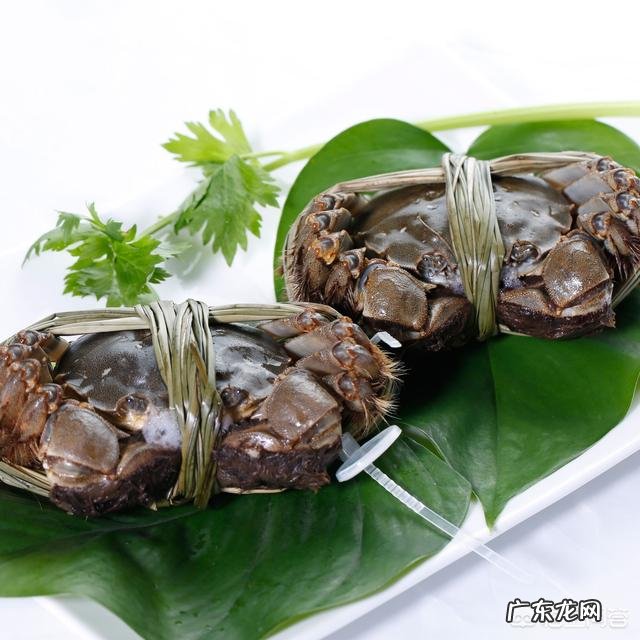 大闸蟹为什么叫做大闸蟹?“闸”字如何而来?