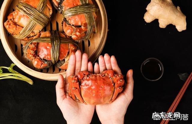 大闸蟹为什么叫做大闸蟹?“闸”字如何而来?