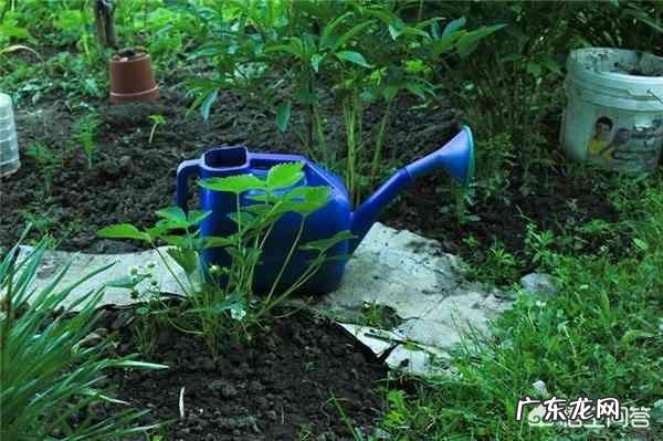 适合发朋友圈儿的句子,文艺?