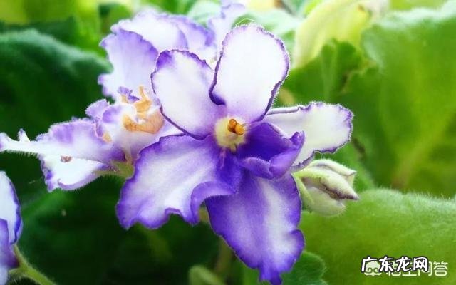 适合发朋友圈儿的句子,文艺?