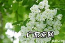 小时候在农村有哪些你忘不了的美味?