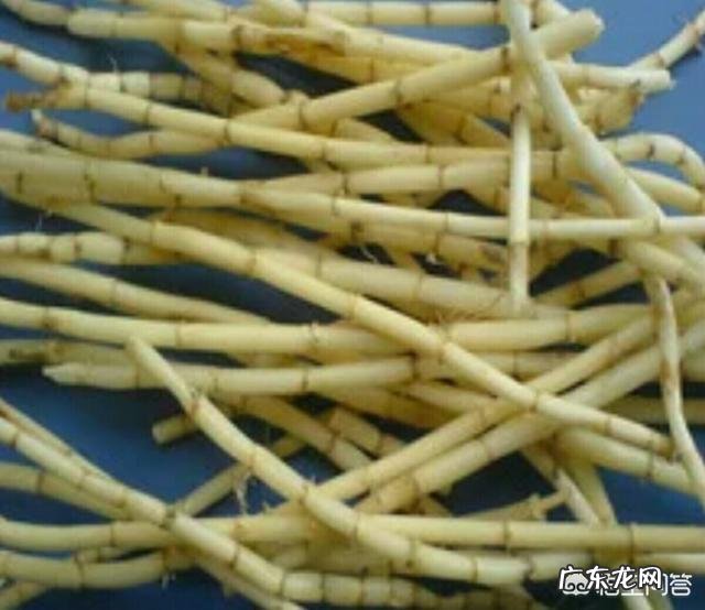 小时候在农村有哪些你忘不了的美味?