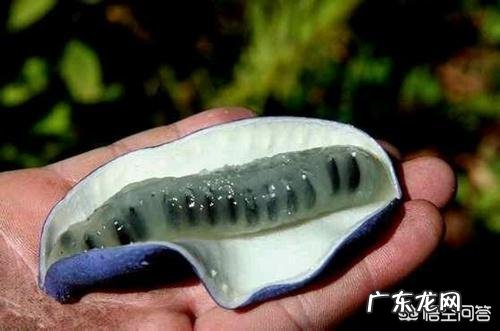 小时候在农村有哪些你忘不了的美味?