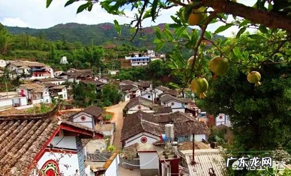 小时候在农村有哪些你忘不了的美味?