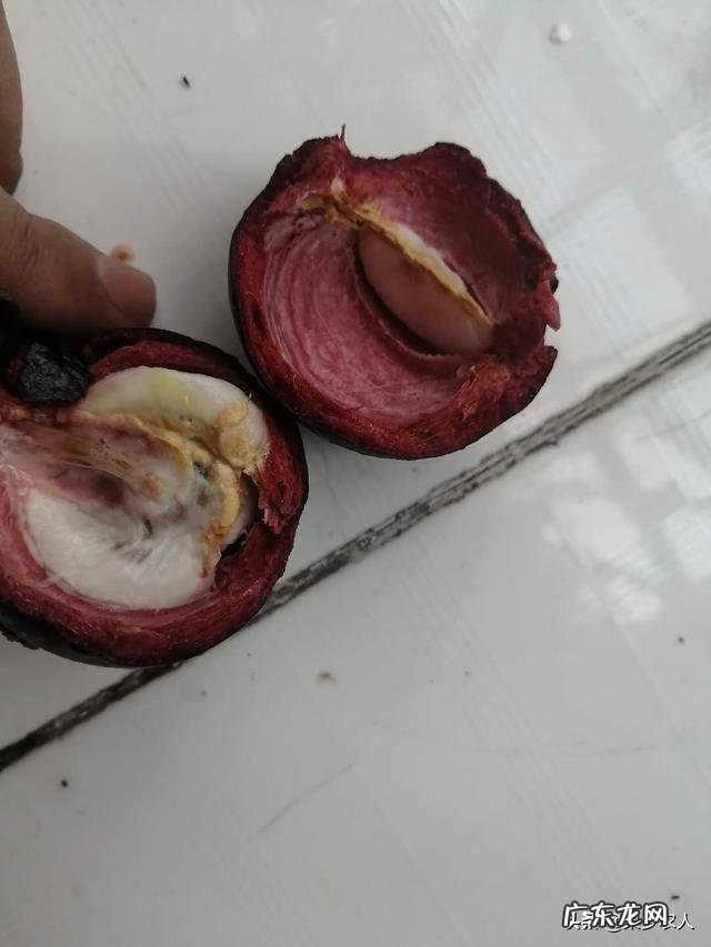 吃山竹时,里面的黄浆能吃吗?