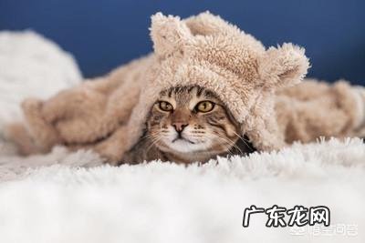 职业规划很迷茫?该如何找到自己的方向呢?