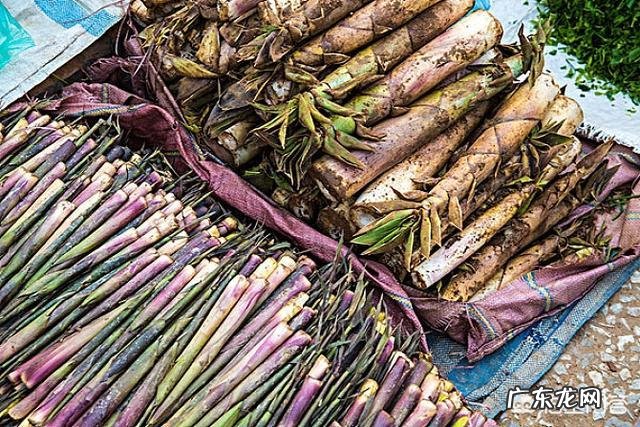 哪些人不能吃竹笋,为什么?