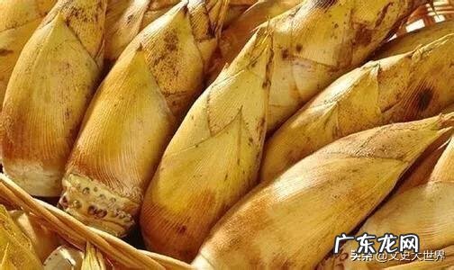 哪些人不能吃竹笋,为什么?