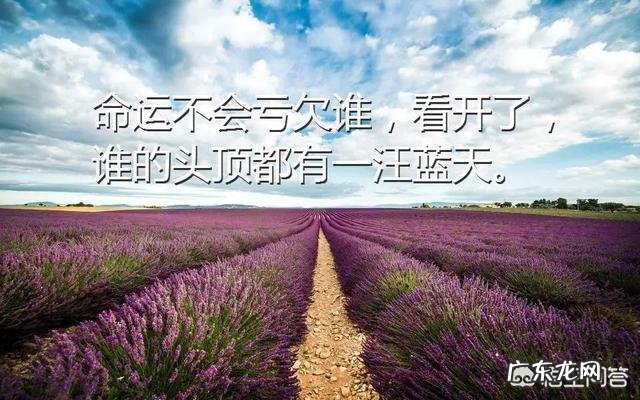 有哪些鼓励别人走出烦恼的句子？