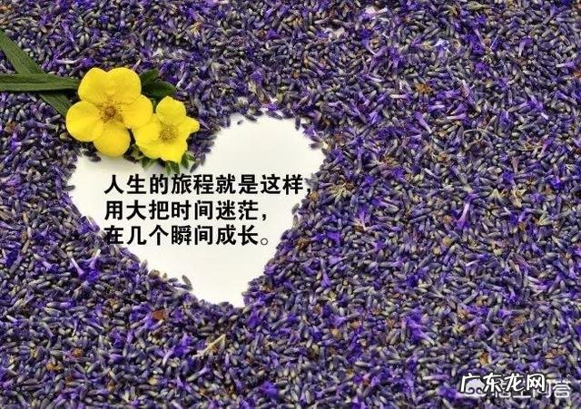 有哪些鼓励别人走出烦恼的句子？