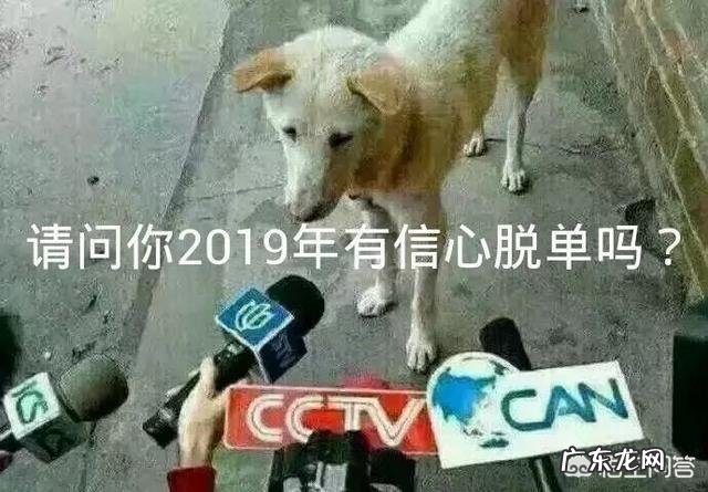 故事 搞笑段子大家见过哪些？