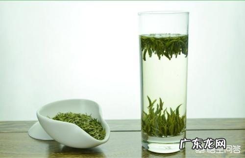 孕妇能经常喝毛尖茶吗?