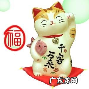 招财猫这个词有何由来？