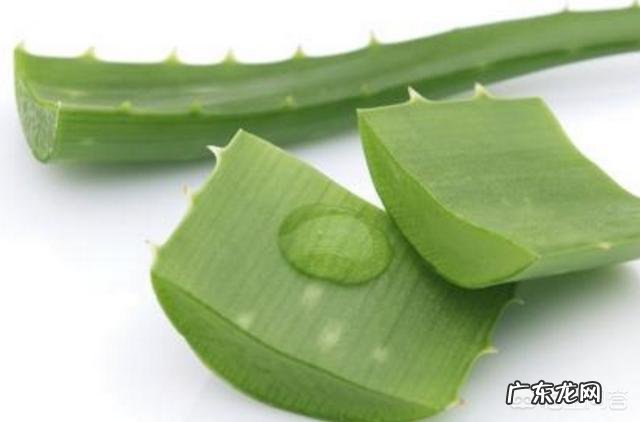 宝宝皮肤过敏要注意什么?