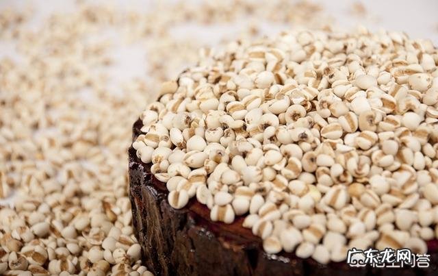 伏波将军说过“马革裹尸，老当益壮”有何典故？