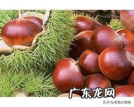 板栗被称为“秋果之王”,它有什么营养价值?