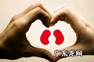 肾功能不好的人都有哪些表现?