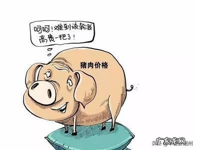 吃什么、喝什么最养胃?