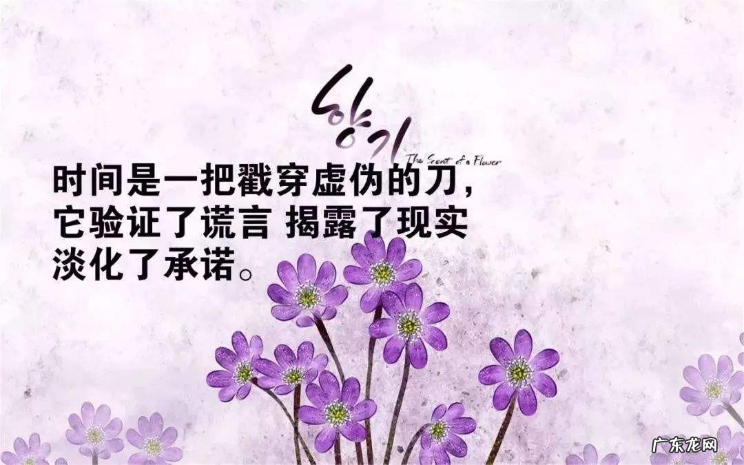 霸气说说简单气质一句话心情