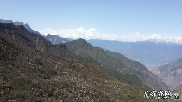 我国欣赏杜鹃花最好的地方在哪?
