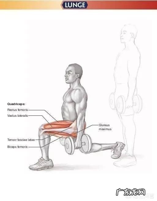 每周训练几次是对肌肉生长最好的呢?