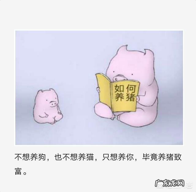 有没有一些适合发说说的图片和句子?