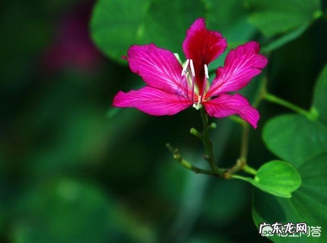 有没有一些适合发说说的图片和句子?