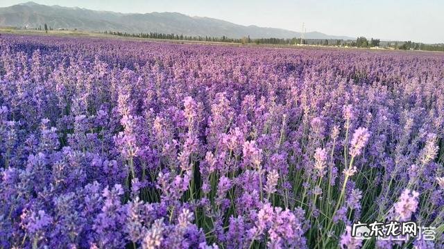 女神节马上快到了,准备什么礼物既有新意,又不太花钱,还能让女神满意?