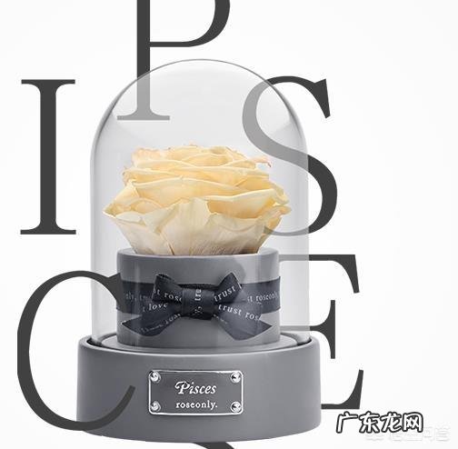 女神节马上快到了,准备什么礼物既有新意,又不太花钱,还能让女神满意?