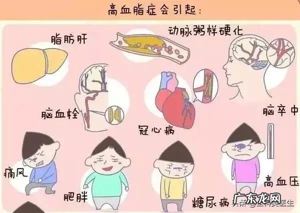 常见的“刮油”食物有哪些?
