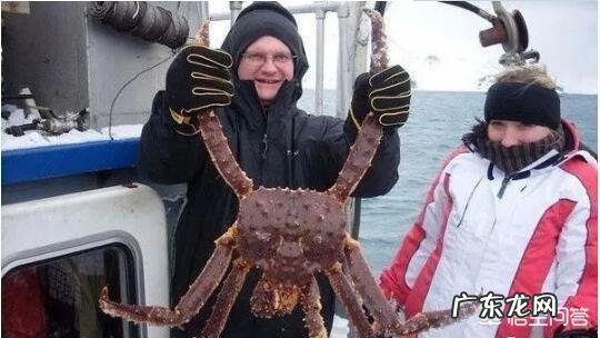 吃螃蟹有什么“禁忌”？