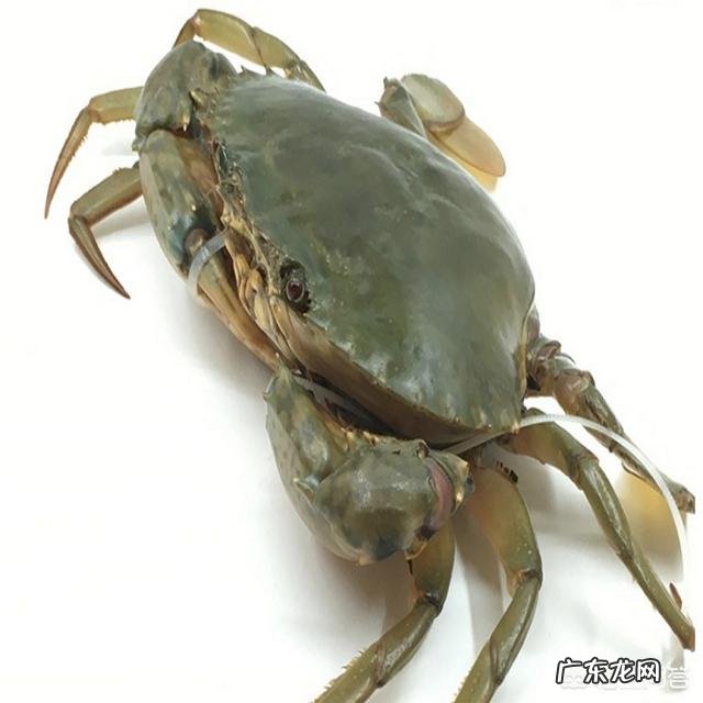 吃螃蟹有什么“禁忌”？