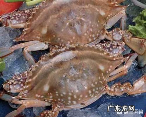 吃螃蟹有什么“禁忌”？