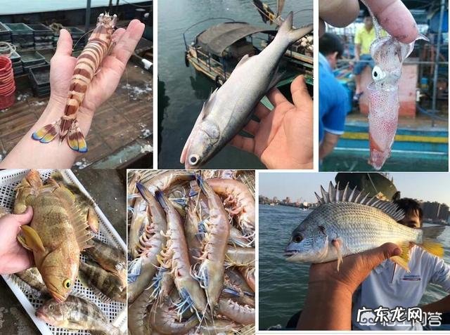 吃螃蟹有什么“禁忌”？