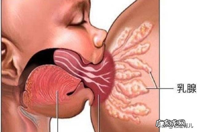 平胸的女人生育后如何哺育孩子?