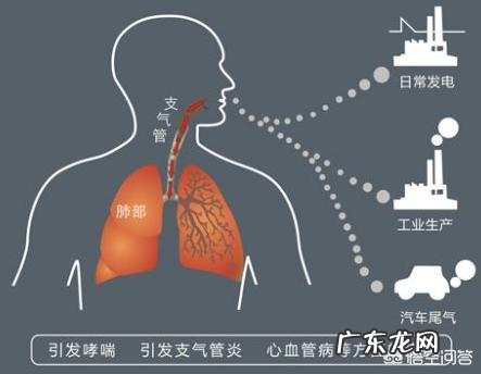 汽车尾气对环境有什么危害?