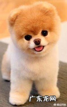 为什么女人会有月经?