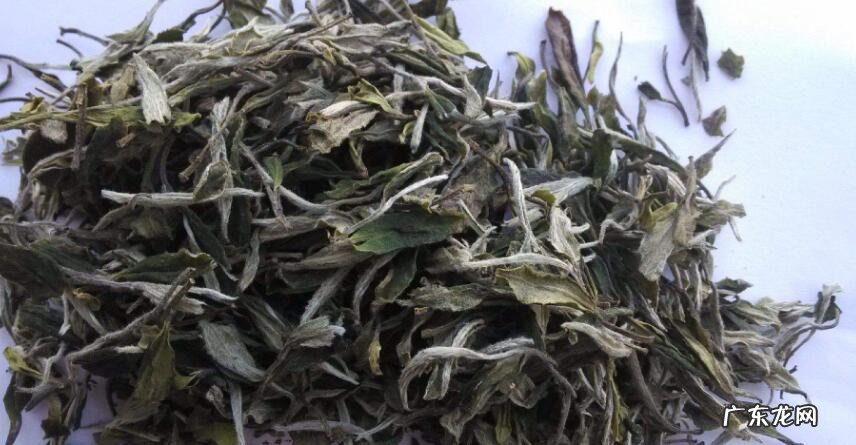 白茶有什么功效