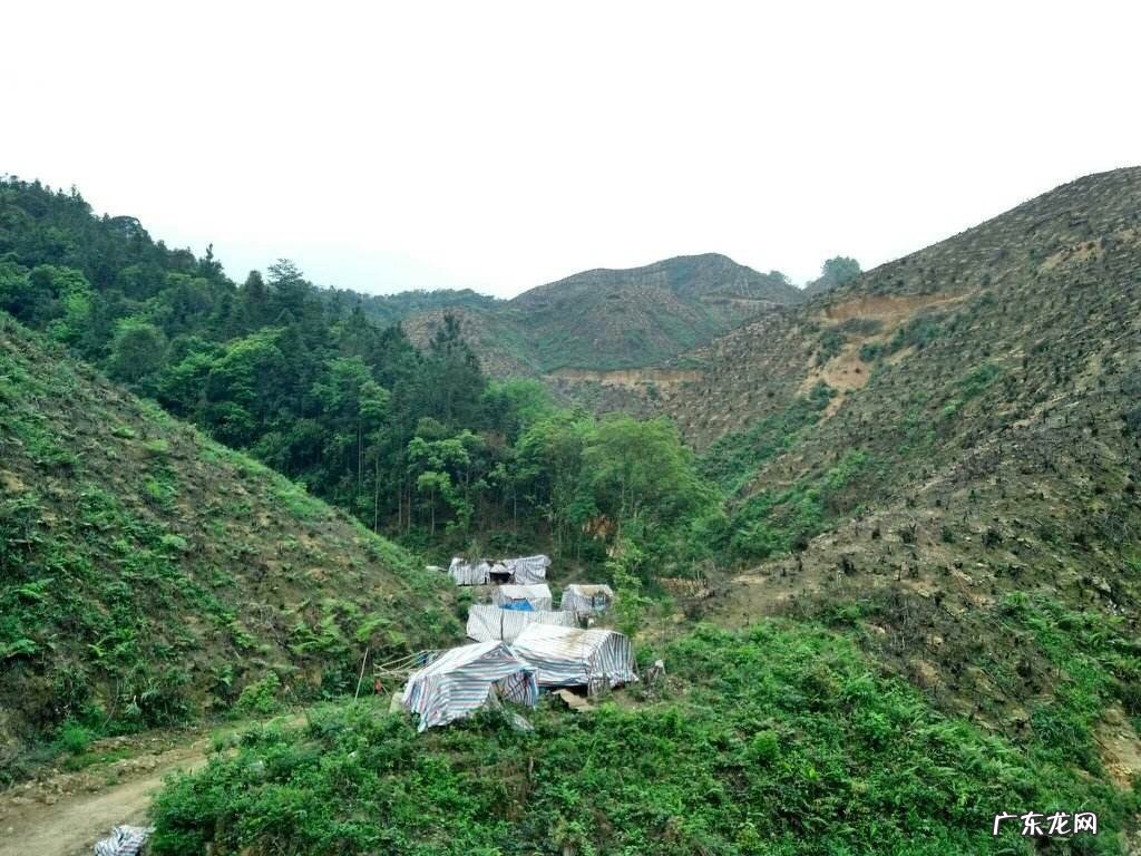 如何看阴宅风水