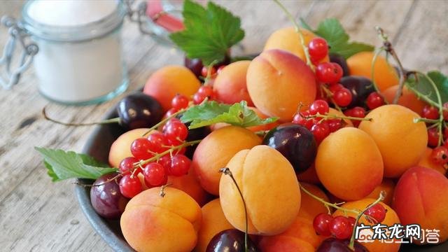 治便秘最有效的水果有哪些?