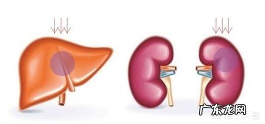 尿酸高的人，要怎么做尿酸值降的快？