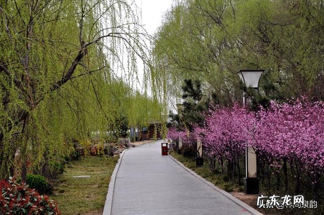 疫情尚未解除,五一小长假,怎样旅游才能保证出行安全?