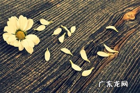 一封情书成就一段难忘的恋情,那些年写过的收到的情书,哪些只言片语最让你挂怀?