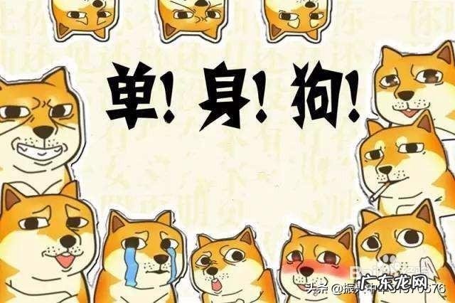 #约会七夕#单身狗的七夕节怎么过？