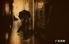 雨夜独处优美句子